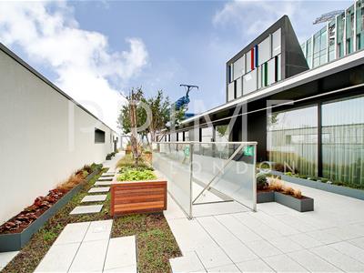 Picture 8
